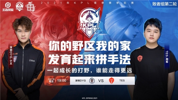 总比分5 总比分5