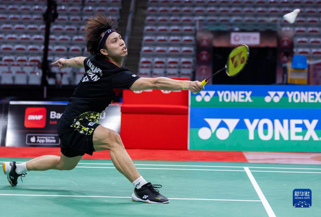 盖面积更是 盖面积更是